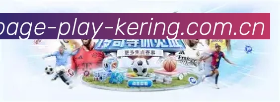 未来规划